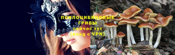 трава Абинск