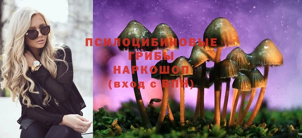 трава Абинск