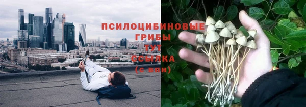 трава Абинск